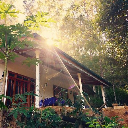 Secret Nest Homestay Ella Exterior photo