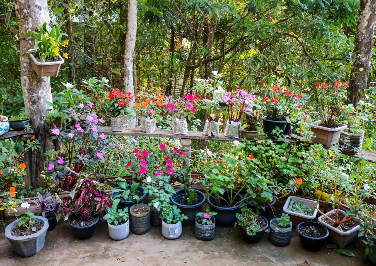 Secret Nest Homestay Ella Exterior photo