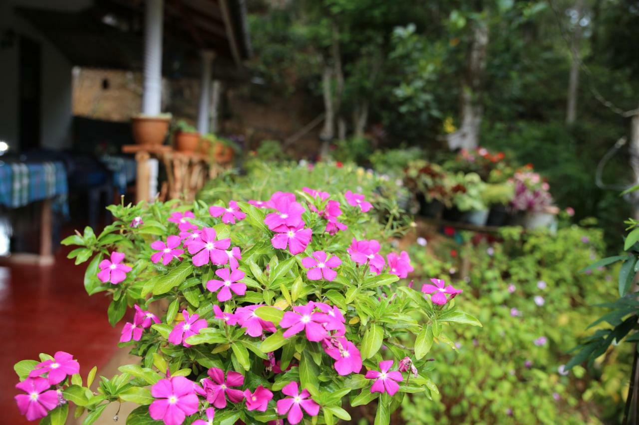 Secret Nest Homestay Ella Exterior photo
