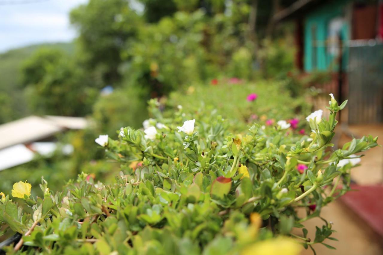 Secret Nest Homestay Ella Exterior photo